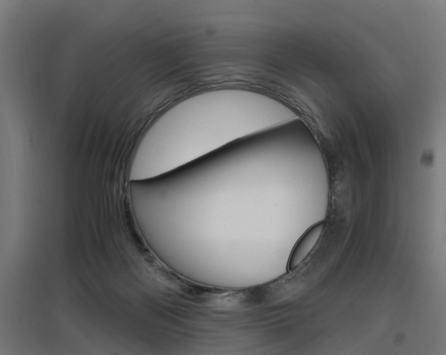 X0000097660122200802290931