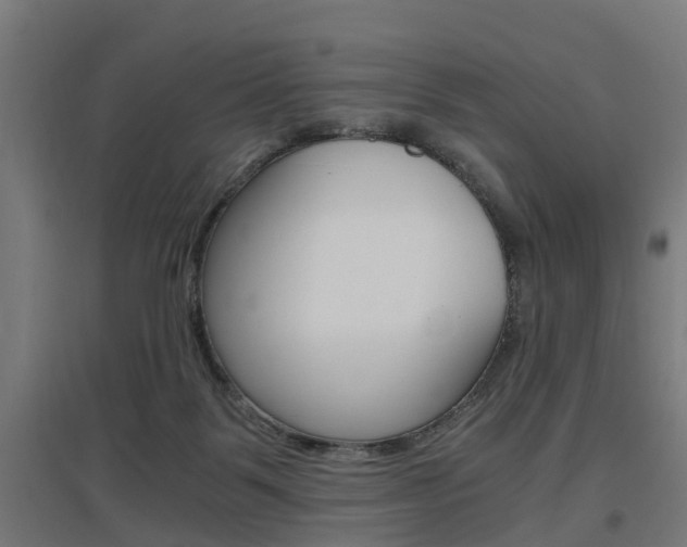 X0000097660123200802290931