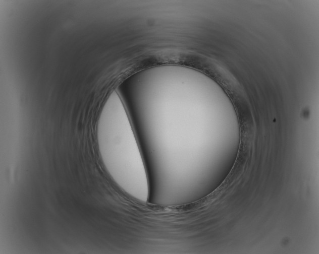 X0000097660125200802290931