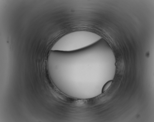 X0000097660126200802290931