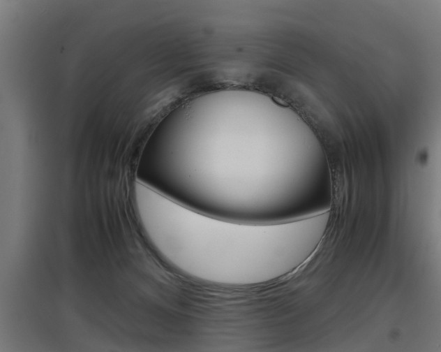 X0000097660128200802290931
