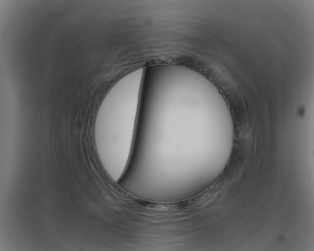 X0000097660129200802290931