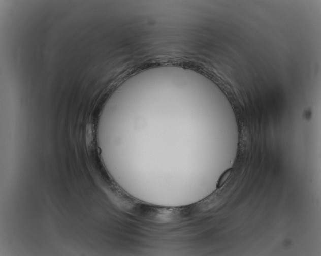 X0000097660130200802290931