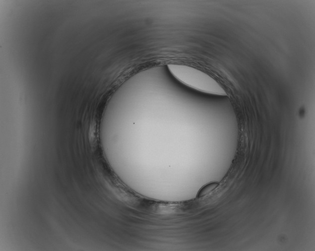 X0000097660134200802290931