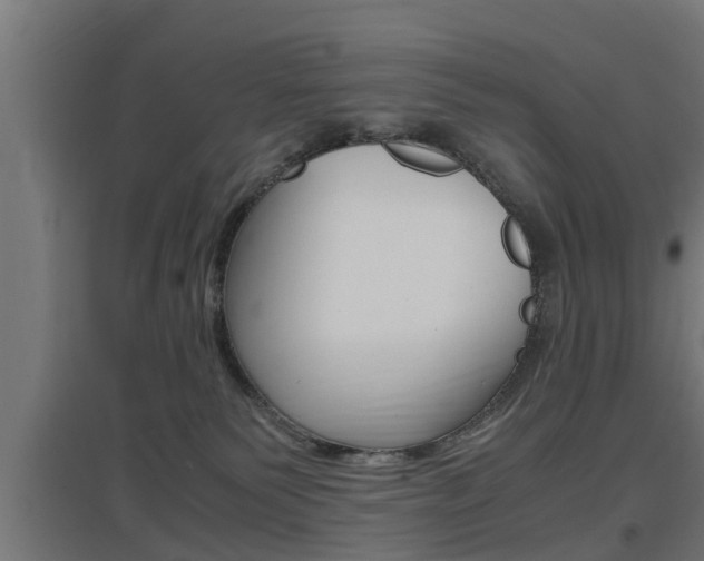 X0000097660135200802290931
