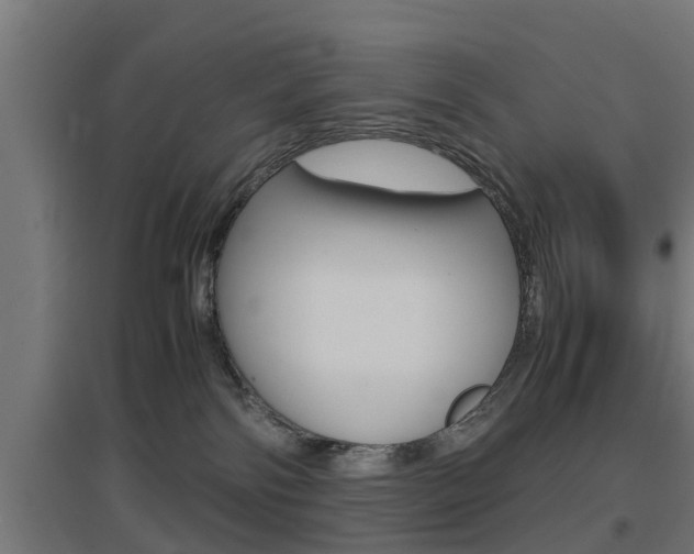 X0000097660138200802290931