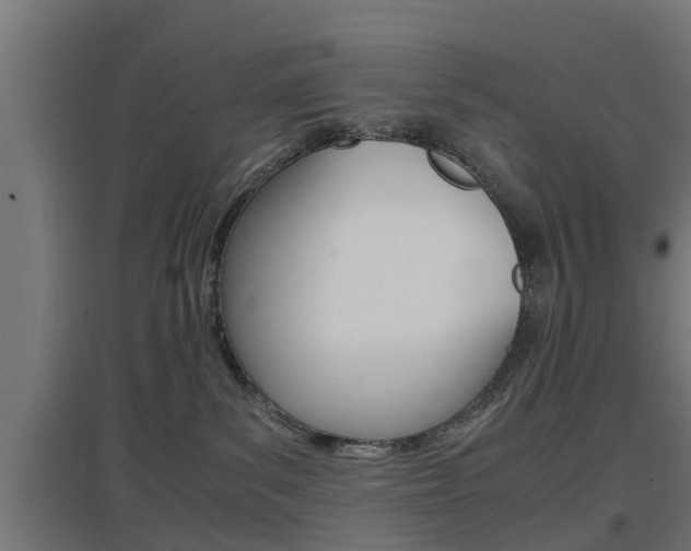 X0000097660139200802290931