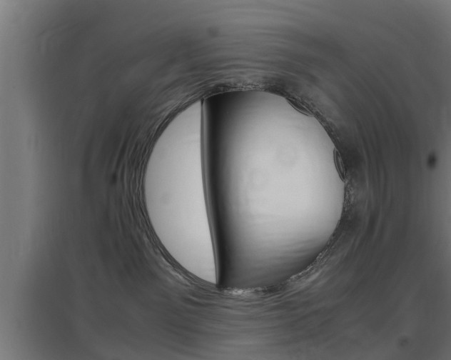 X0000097660141200802290931