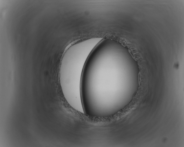 X0000097660144200802290931