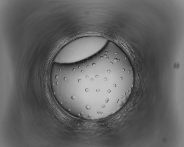 X0000097660145200802290930