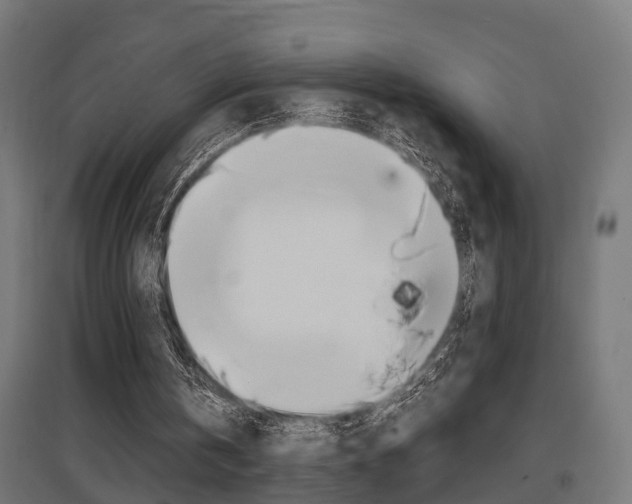 X0000097660146200802290930