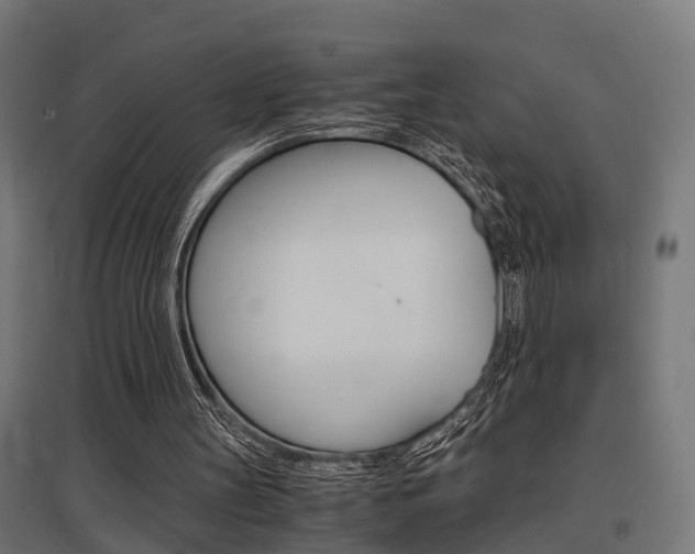 X0000097660147200802290930