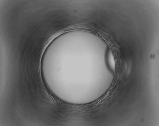 X0000097660148200802290930