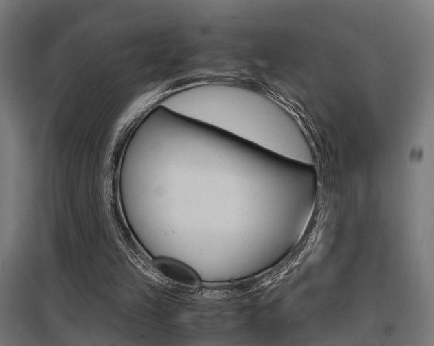 X0000097660149200802290930