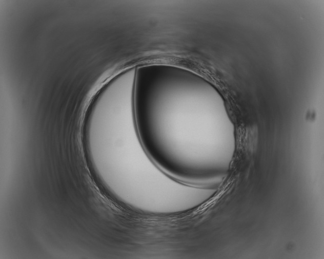 X0000097660150200802290930