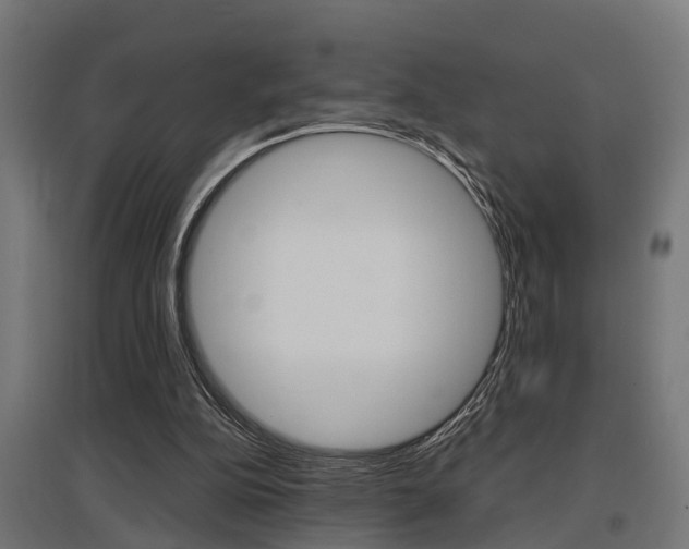 X0000097660152200802290930