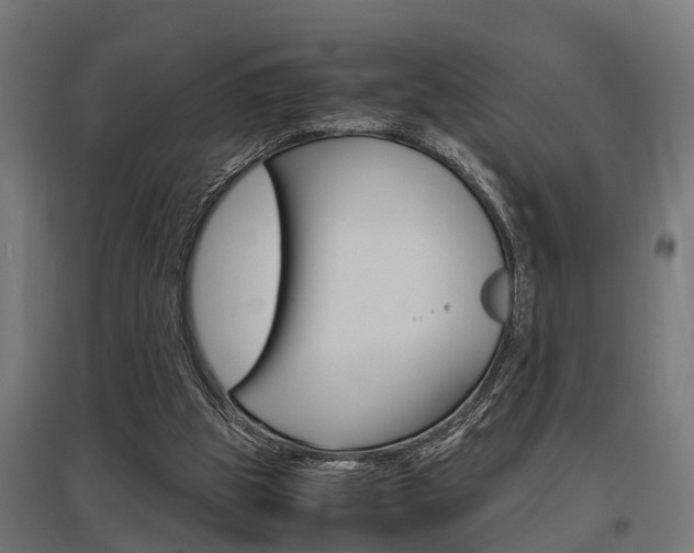 X0000097660153200802290930