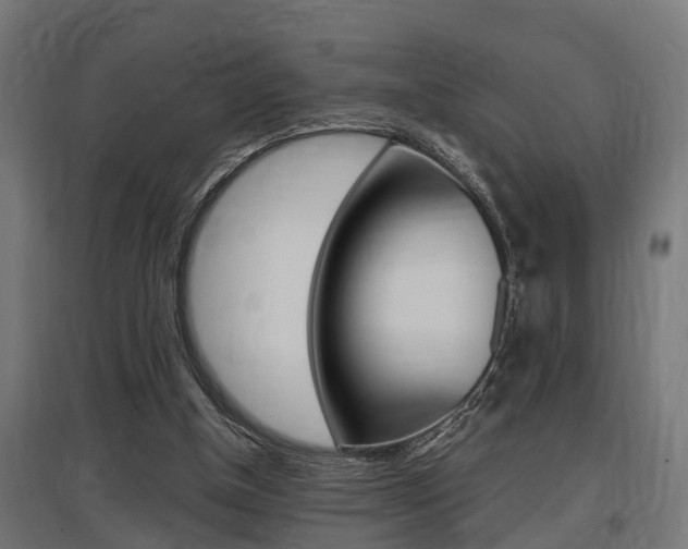 X0000097660154200802290930