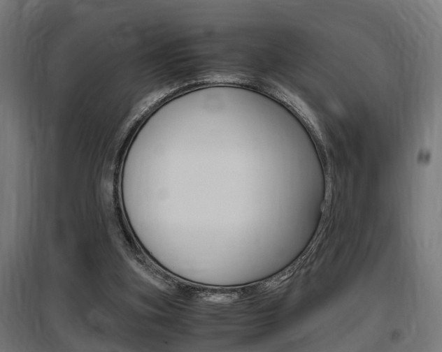 X0000097660155200802290930