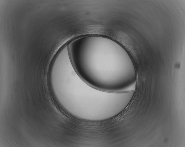X0000097660156200802290930