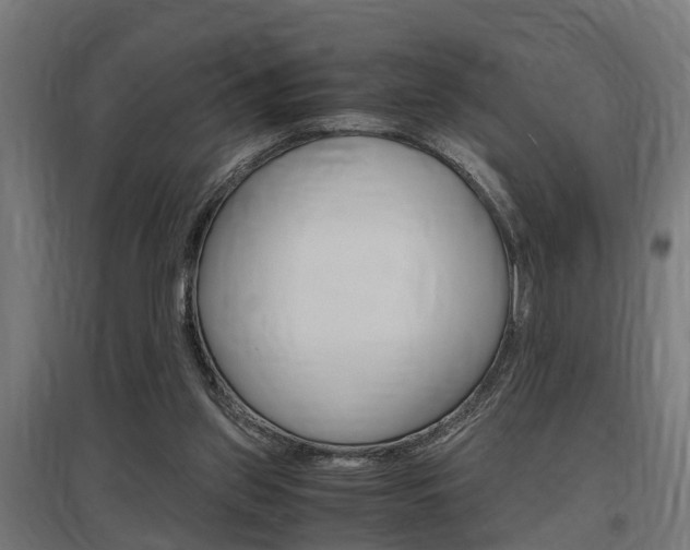 X0000097660157200802290930