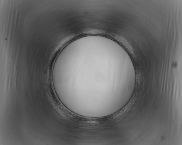 X0000097660159200802290930