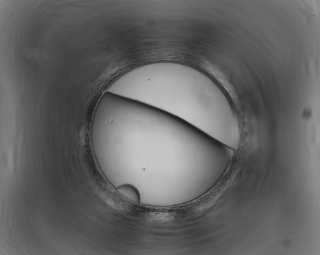 X0000097660161200802290930