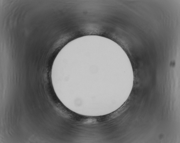X0000097660162200802290930