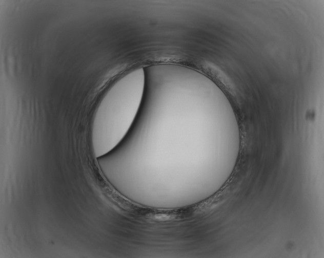 X0000097660163200802290930