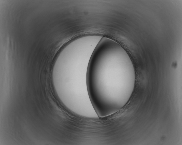 X0000097660164200802290930