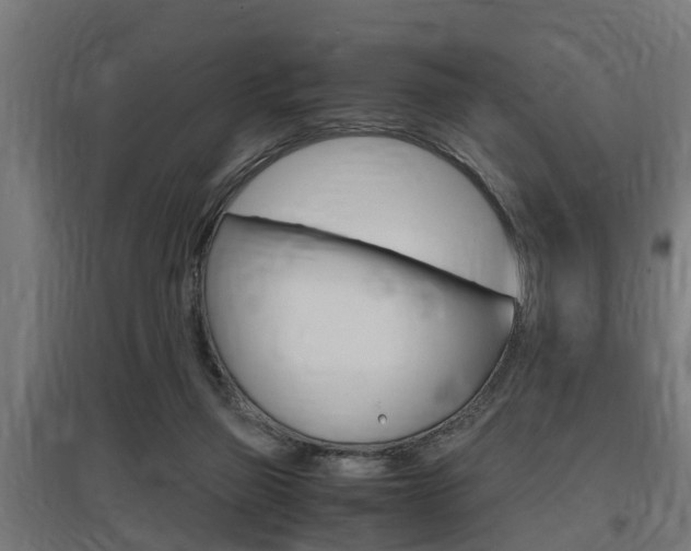 X0000097660165200802290930