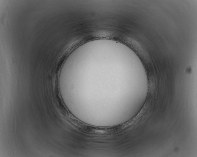 X0000097660167200802290930