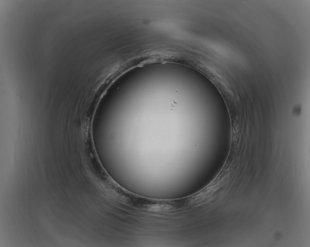 X0000097660168200802290930