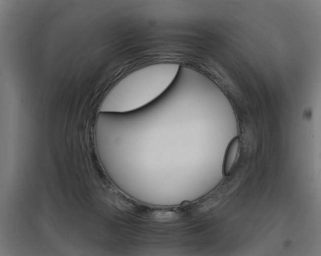 X0000097660169200802290930