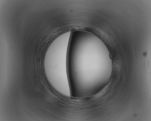X0000097660170200802290930