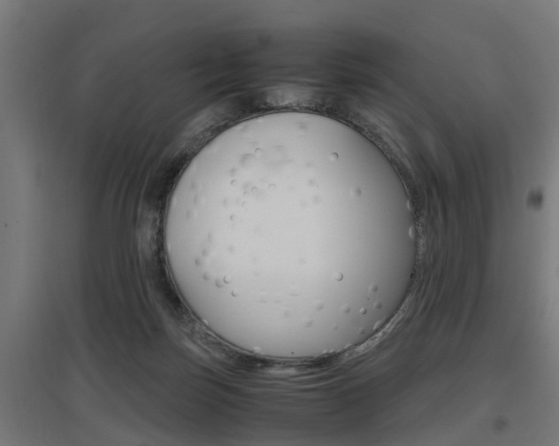 X0000097660171200802290930