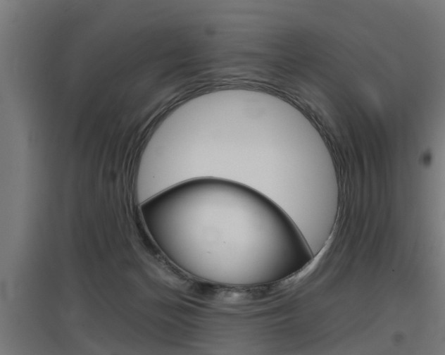 X0000097660174200802290930