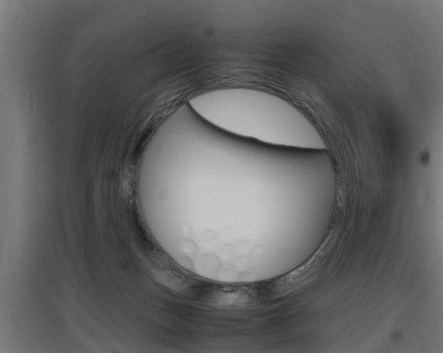 X0000097660175200802290930