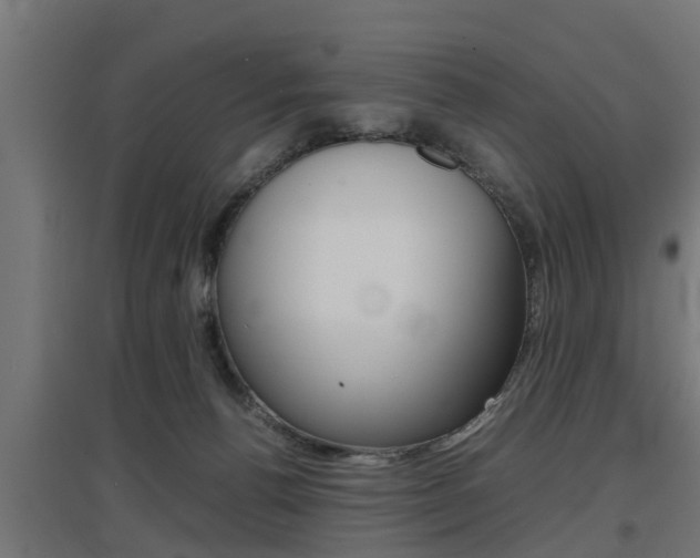 X0000097660176200802290930