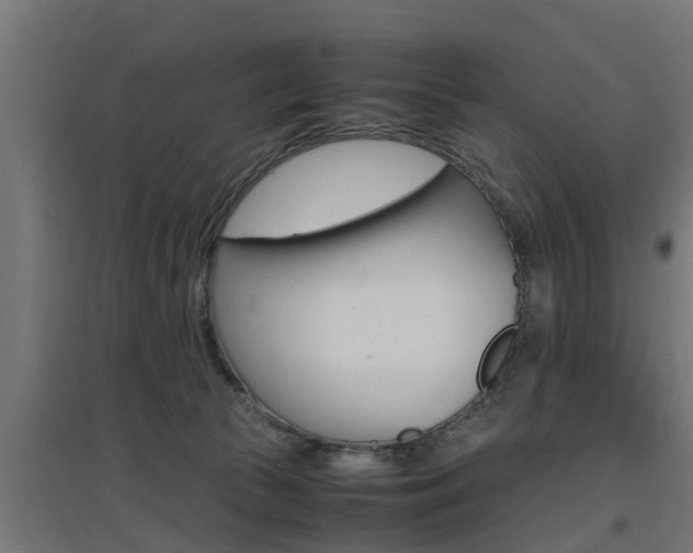 X0000097660177200802290930
