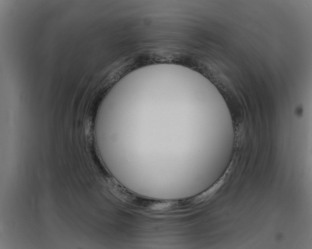 X0000097660178200802290930