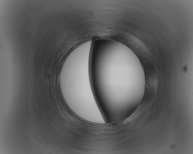 X0000097660180200802290930