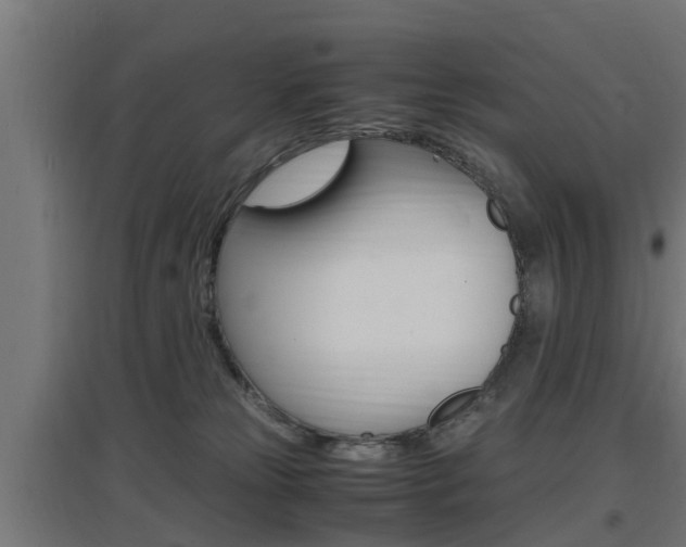 X0000097660181200802290930
