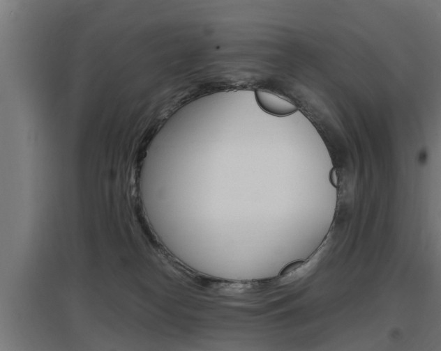 X0000097660182200802290930