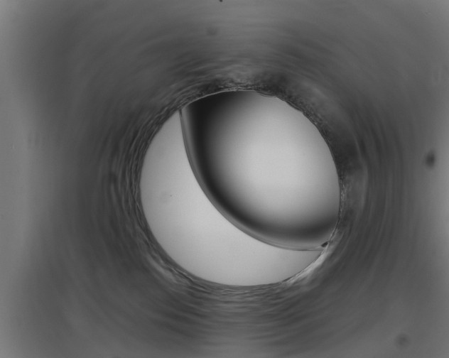 X0000097660186200802290931