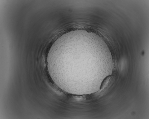 X0000097660187200802290931