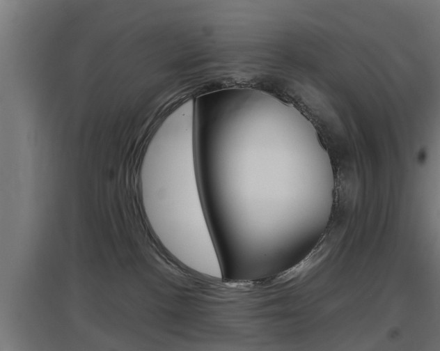 X0000097660188200802290931