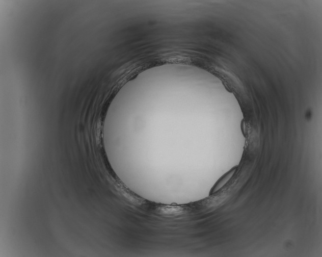 X0000097660189200802290931