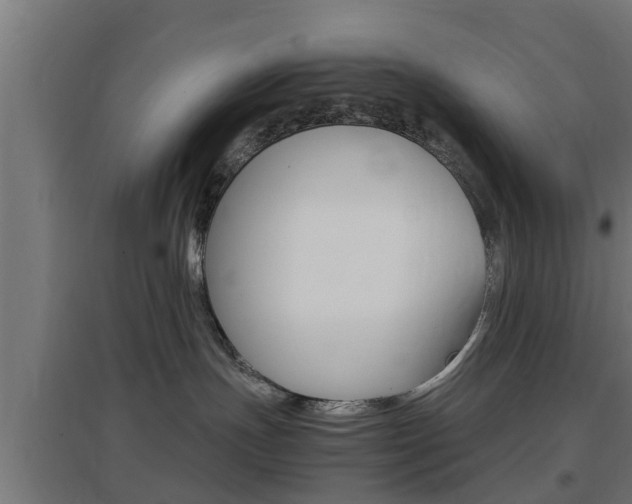 X0000097660191200802290931
