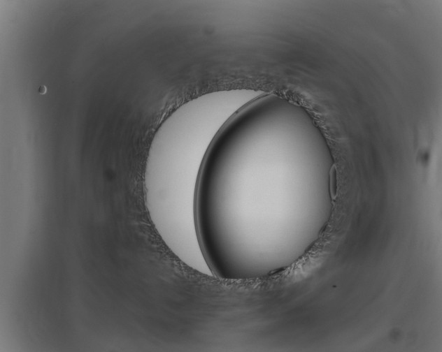 X0000097660192200802290931